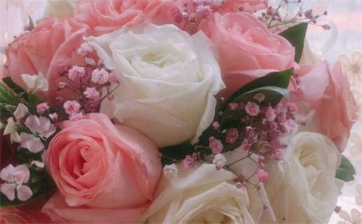 属鼠男和属龙女能结婚吗_属鼠男和属龙女能结婚吗好吗