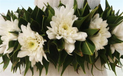 属鼠的人出生年份详解2020年之前的年份盘点