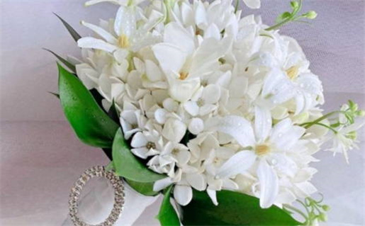 梅花易数六爻八卦口诀(梅花易数六爻八卦口诀大全)