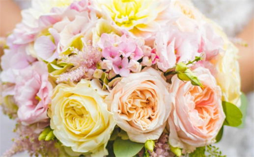 属鼠的命运360_属鼠的命运一生怎么样