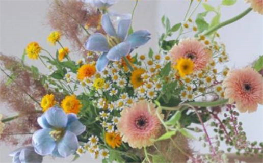 男命八字有桃花红艳煞_男命带红艳桃花