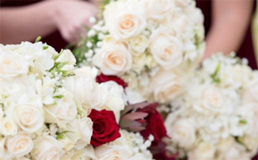 属鼠的人适合搭配的动物解析与建议