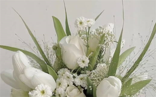 属鼠女明年能否生儿子全面解析与建议