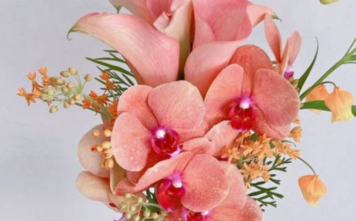 禄印专旺格女命适合的行业(禄印专旺格局)