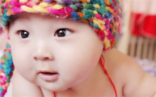 2026年02月08日农历二〇二五年腊月廿一出生的陈姓女宝宝取名全攻略