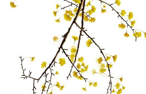 今日2026年01月31日装修老黄历不推荐吗,农历二〇二五年腊月十三装修日子